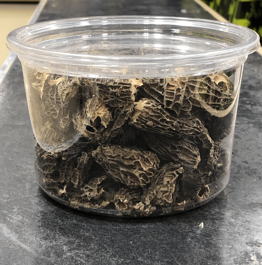 Morilles séchées