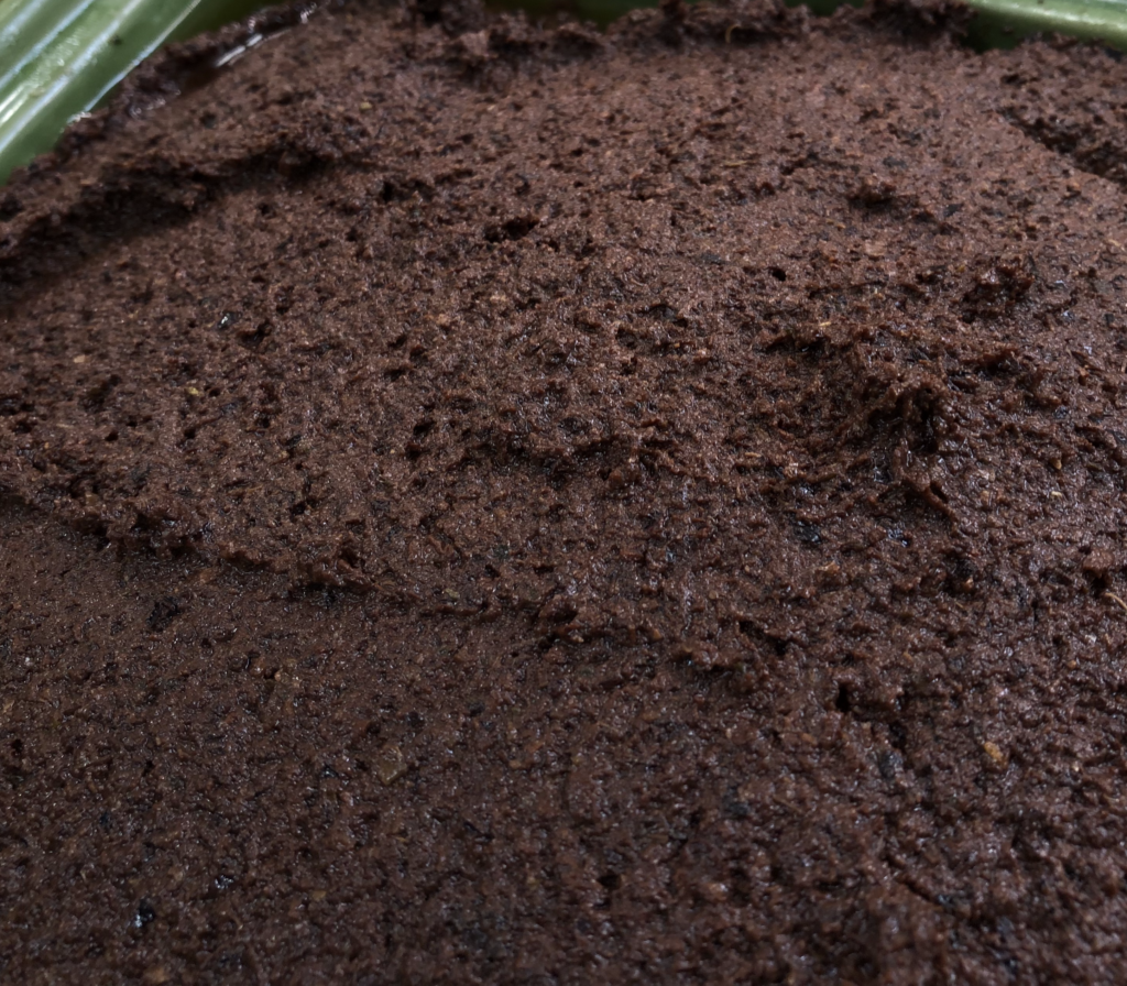 Tapenade Noire à la Provençale